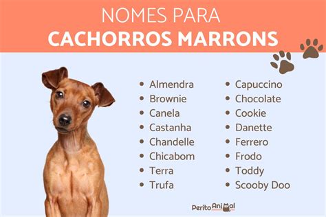 virtud Es mas que Inspirar nomes fofos para cachorro Mujer ...