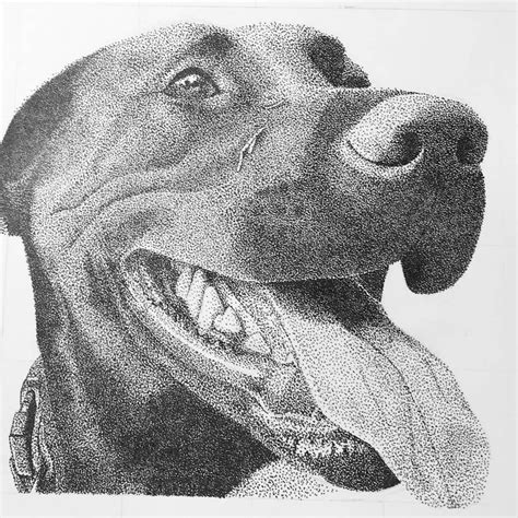 Animals in Stippling Drawings | Stippling art, Dotted drawings, Stippling