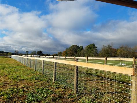 Horse Fence Perth | Electric & Mesh Fence Installation | Bears Fencing