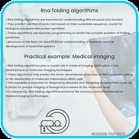 RNA Folding Algorithms | Precision, Efficiency & Biophysics