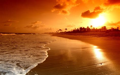 Beach Sunrise Wallpapers - 4k, HD Beach Sunrise Backgrounds on WallpaperBat