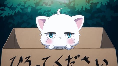 These Anime Cats Have Unique Attitudes About Their Owners