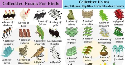 250+ Collective Nouns for Animals in English • 7ESL | Collective nouns ...