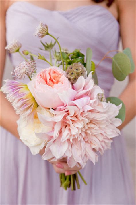 Scabiosa Pods Archives - Bouquet Bouquet