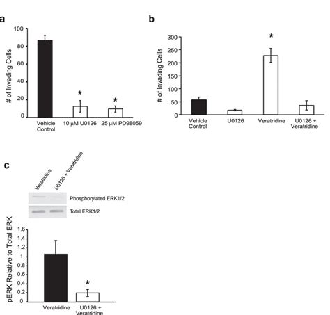 MAPK signaling contributes to invasion potential of colon cancer cells ...