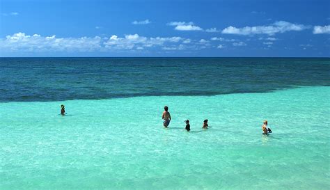 Snorkeling Bahia Honda State Park - Beach And Boat Options