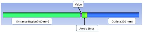 Fluids | Free Full-Text | Use of Computational Fluid Dynamics to ...