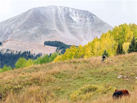 Park City Mountain Biking | Let's Get High On Bikes!