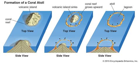 Who Theorized How Atolls Are Formed