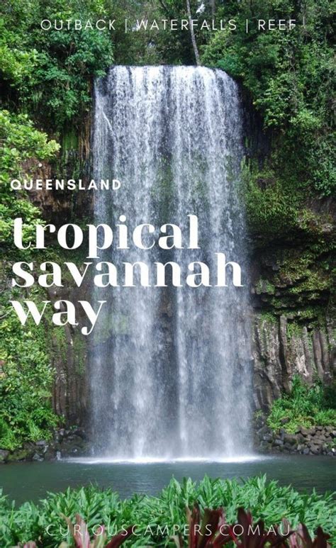 Savannah way road trip queensland travel guide – Artofit