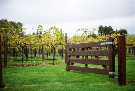 Barossa Valley Wine Tours - Tour & Taste Wine in the Barossa Valley