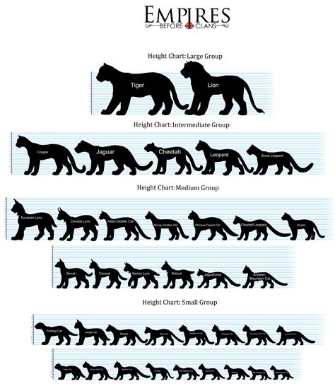 Cat Height Chart (U.S.A.) by EBC-Admins on DeviantArt