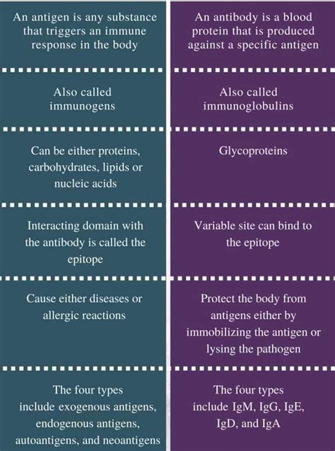 Difference between Antigen and Antibody ? - EduRev NEET Question