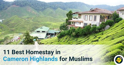 11 Best Homestays in Cameron Highlands for Muslims © LetsGoHoliday.my