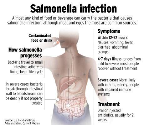 Salmonella Infection Archives - HOSPITALITY RISK SOLUTIONS