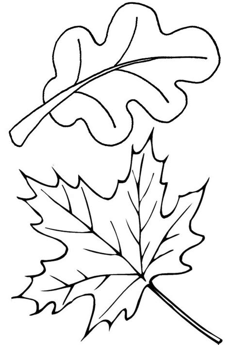 Gambar Orange Autumn Leaf Coloring Page Wecoloringpage Pages Leaves di ...