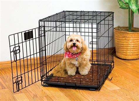 Crate Training a Puppy | How to Get Started | All About Bichon Frises