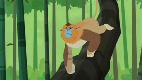 Image - Golden Snub-nosed Monkey (Wild Kratts).png | The Parody Wiki ...