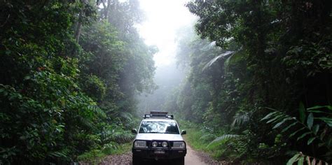 Rainforest Tours Cairns | Everything Australia