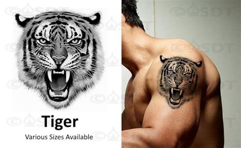 Tiger Temporary Tattoo - Etsy UK