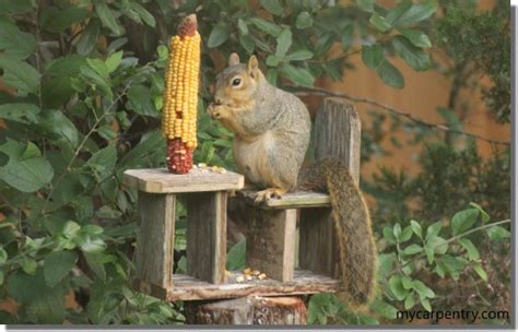 Squirrel Feeder Plans - How to make a Squirrel Feeder