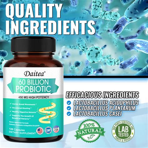 Gut Health Probiotics - Lactobacillus Acidophilus - 60 Billion ...