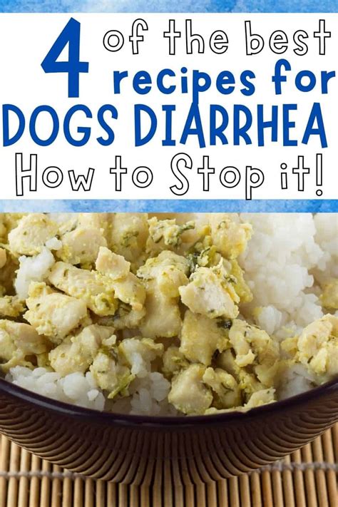 4 Best Recipes For Dogs Diarrhea | House That Barks