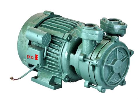 Buy EKKI DSM3 Single Phase 1 HP Domestic Water Motor Pump Online in ...