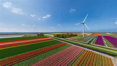 Tulip Fields Keukenhof sightseeing flight