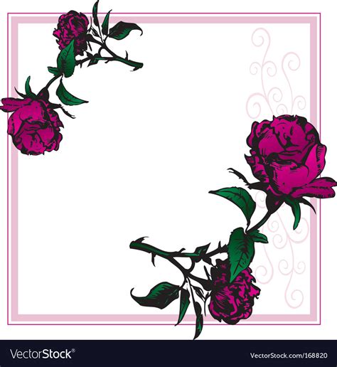 Rose frame Royalty Free Vector Image - VectorStock