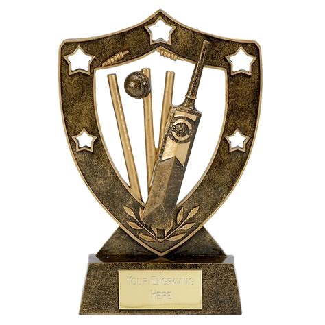 Shieldstar Cricket Award | Trophies2u