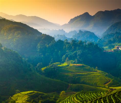 chiang mai thailand rice terraces hills - Travel Off Path