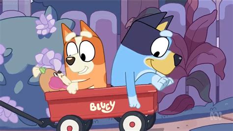 Bingo and Bluey out for a wagon ride | Bluey Amino