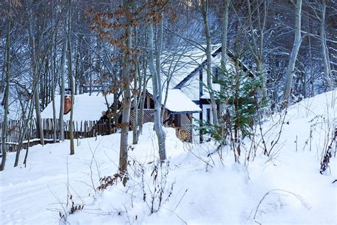 Cabin in the Woods at Winter Photo | Download free images from Mystock