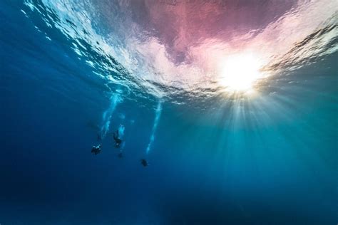 Premium Photo | Sunlight falling on silhouette people scuba diving undersea