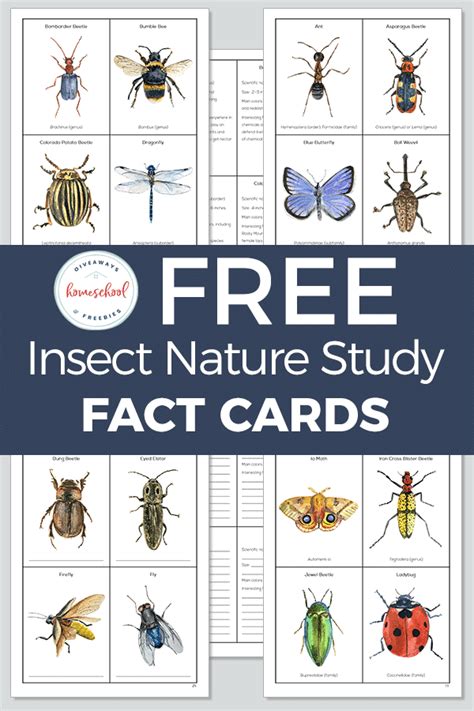 How to Teach Science Facts Using Flash Cards - Natural Beach Living