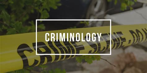 Major in Criminology| Criminology Degree Programs| Plexuss