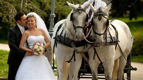 How Much Does a Wedding Horse & Carriage Rental Cost - Hire Prices