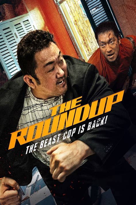 Download The Roundup (2022) Dual Audio [Hindi + Korean] WeB-DL 480p ...