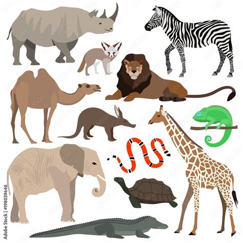 African animals set. Elephant, giraffe, buffalo, hippo, rhino, lion ...