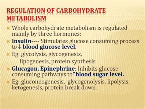 Gluconeogenesis and regulation of carbohydrate metabolism.