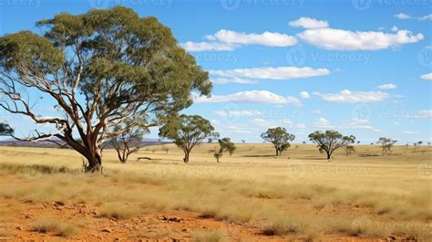 travel australian bushland arid ai generated 29109894 Stock Photo at ...