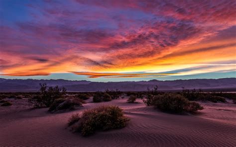 landscape, Nature, Desert, Sunset, Death Valley, Sand, Mountain, Shrubs ...