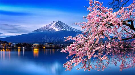 Fuji Mountain and Cherry Blossoms in Spring, Japan Stock Image - Image ...