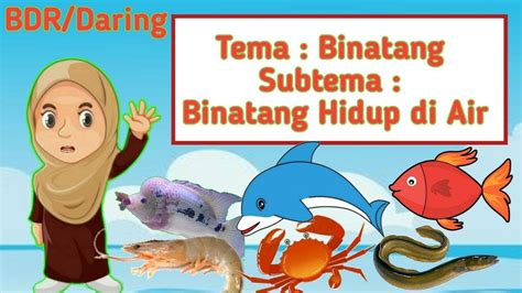 Materi Paud Tema Binatang Mengenal Binatang Hidup Di Darat Dan Air ...