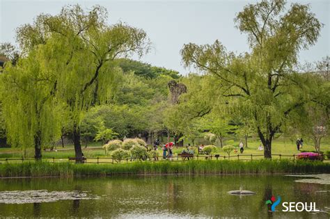 Yongsan Family Park - Seoul