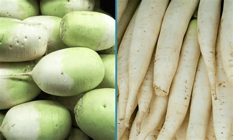 Korean Radish vs Daikon: What's the Difference? | Let's Foodie