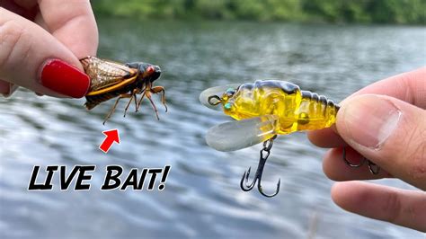 4pcs Colorful Metal 3g/7g Fishing Lure Bass VIB Bait Artificial Bait ...