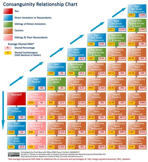 Consanguinity relationship chart - How much DNA do you share with your ...