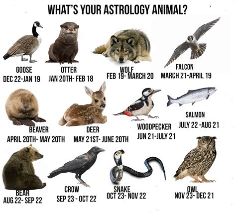 What's your Astrology Animal? Personality Traits and Characteristics.